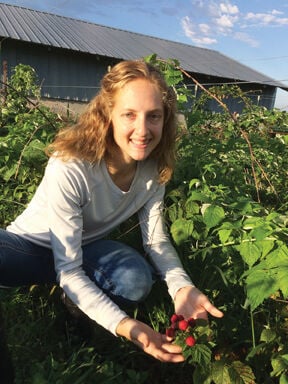 Berry growers raspberries